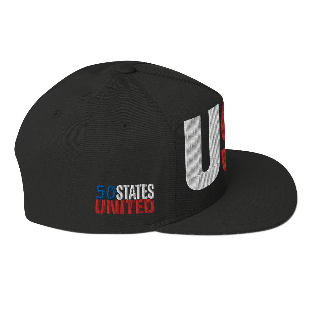 Casquette plate solide brodée 3D Puff colorée USA 50 États-Unis 50 États