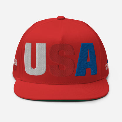 Casquette plate solide brodée 3D Puff colorée USA 50 États-Unis 50 États