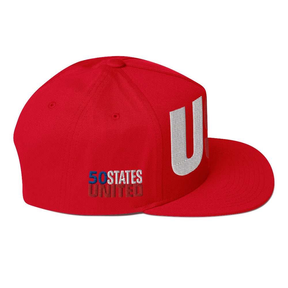 Casquette plate solide brodée 3D Puff colorée USA 50 États-Unis 50 États