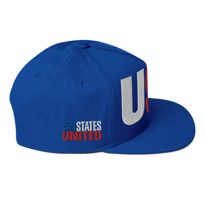 Casquette plate solide brodée 3D Puff colorée USA 50 États-Unis 50 États