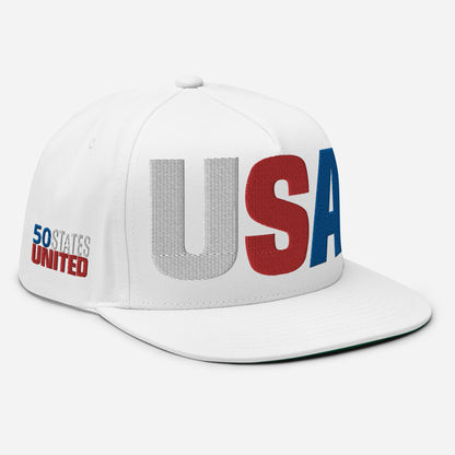 Casquette plate solide brodée 3D Puff colorée USA 50 États-Unis 50 États