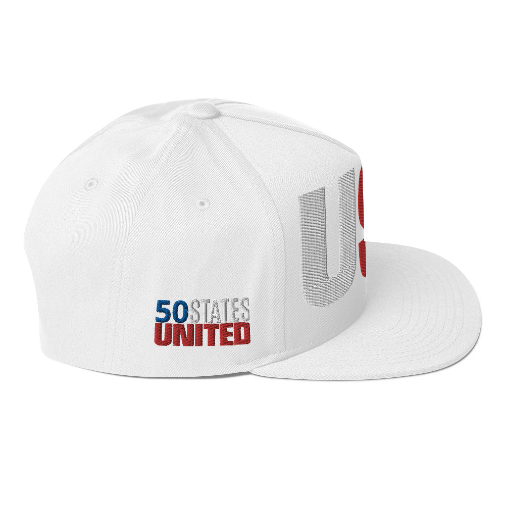 Casquette plate solide brodée 3D Puff colorée USA 50 États-Unis 50 États